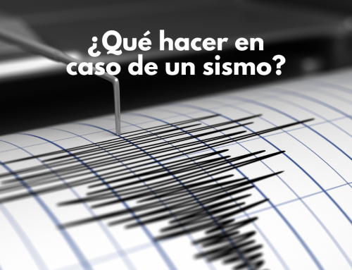 ¿Qué hacer en caso de un sismo?