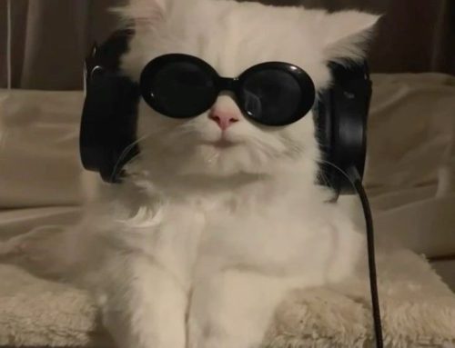 Playlist HCJB2: Canciones que no solo se oyen, ¡se sienten!