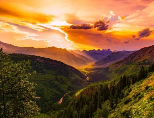 Lo que nadie te dice sobre empezar de nuevo