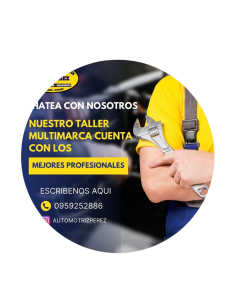 TALLER AUTOMOTRIZ PEREZ